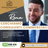 CONSULENTI COMMERCIALI